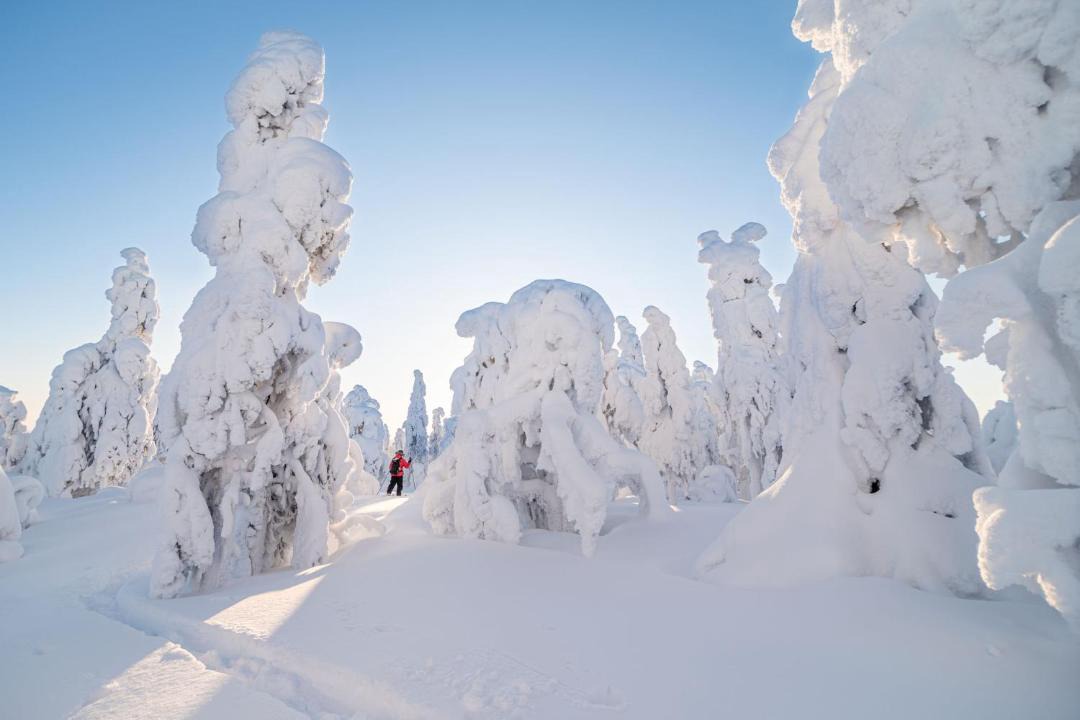 Photo of Others in Tornio Valley