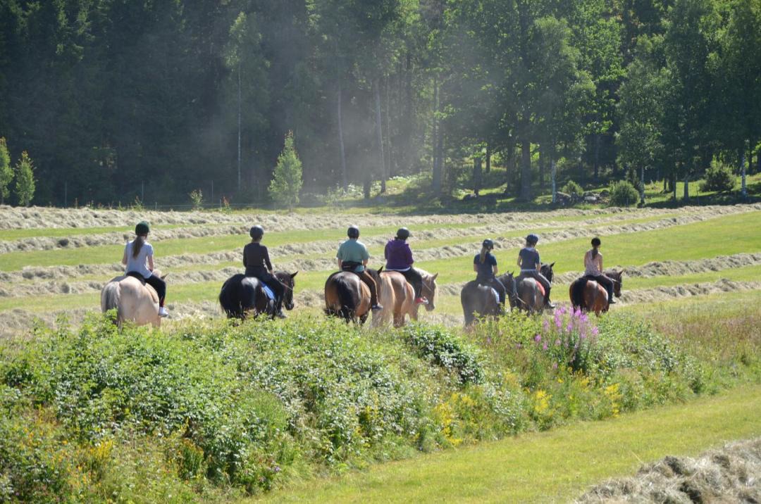 Photo of Others in Osterbymo
