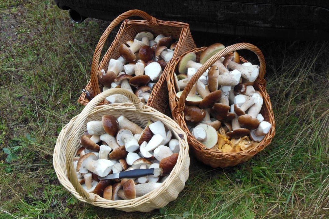 Photo of Others in Osterbymo