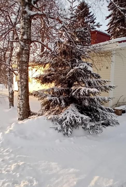 Photo of Others in Kalajoki
