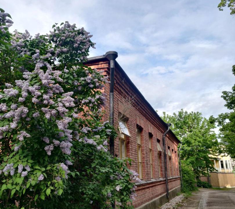 Photo of Others in Etelainen District