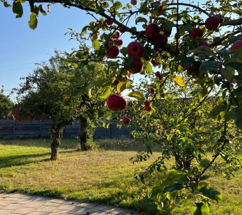 Photo of Outdoor in Soder