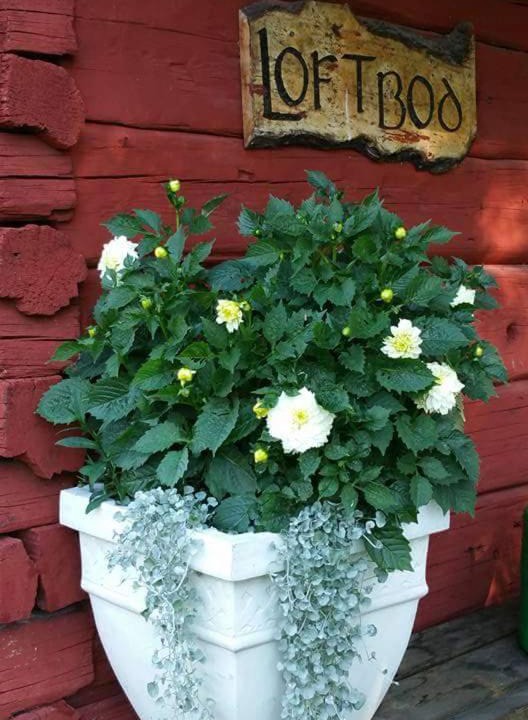 Photo of Others in Katrineholm