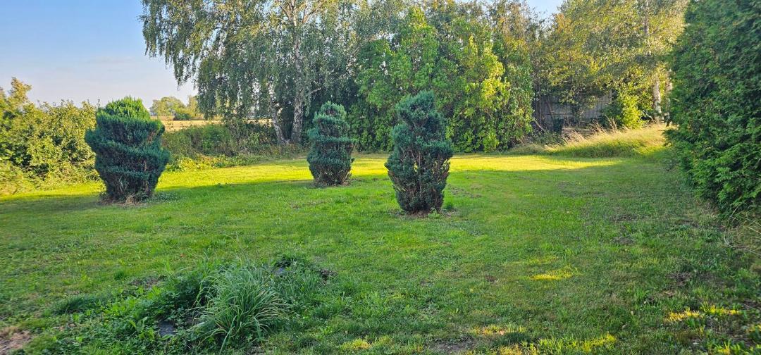Photo of Others in Billeberga