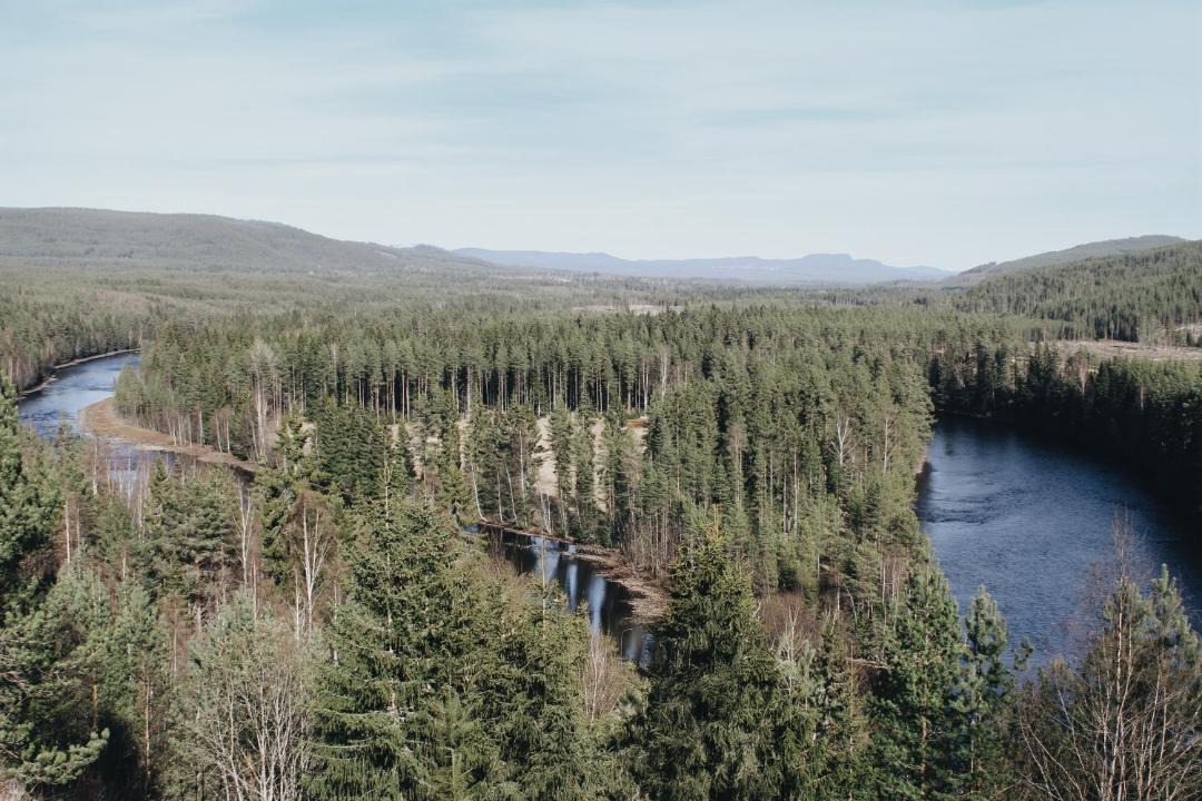 Photo of Others in Alvdalen