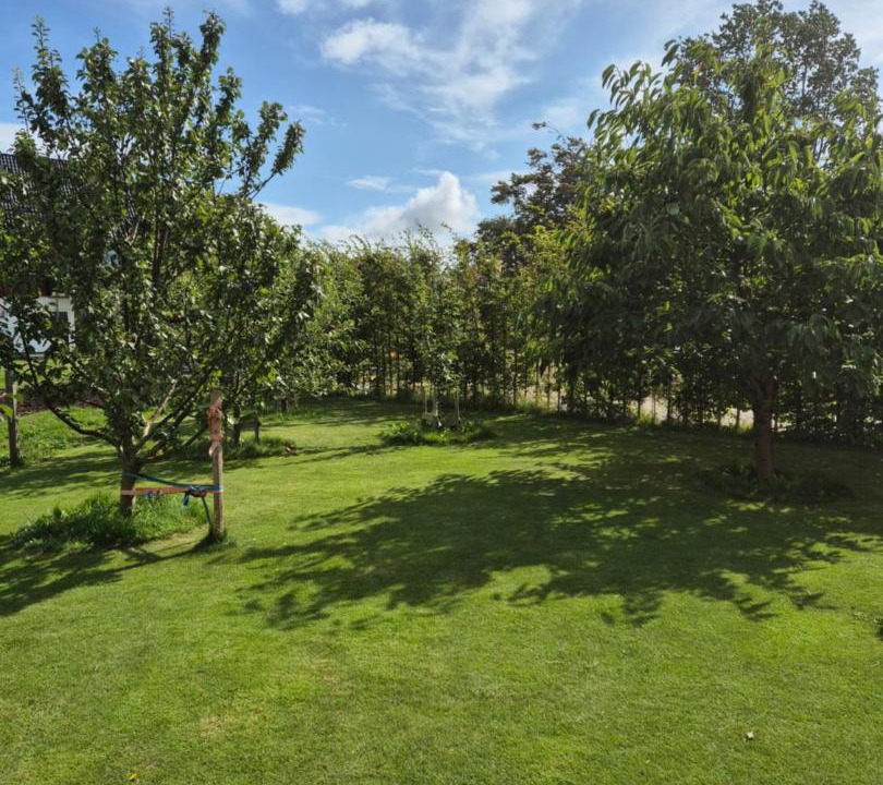 Photo of Outdoor in Halmstad