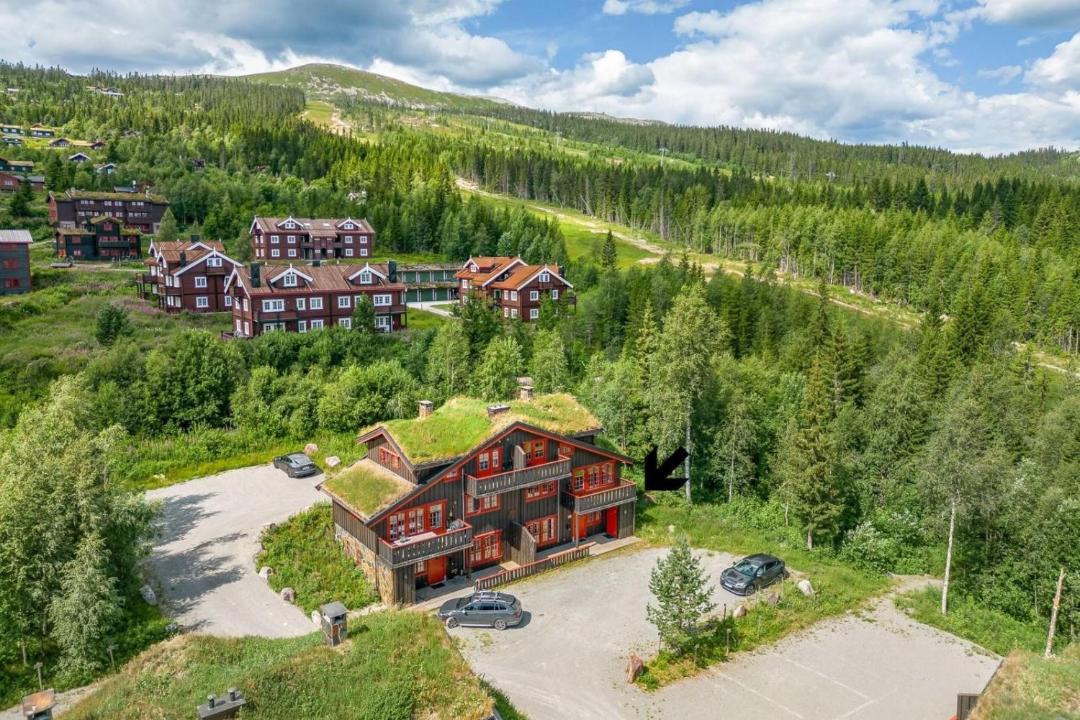 Photo of Others in Trysil