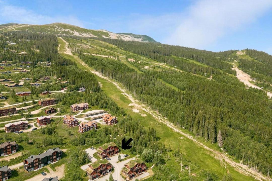 Photo of Others in Trysil