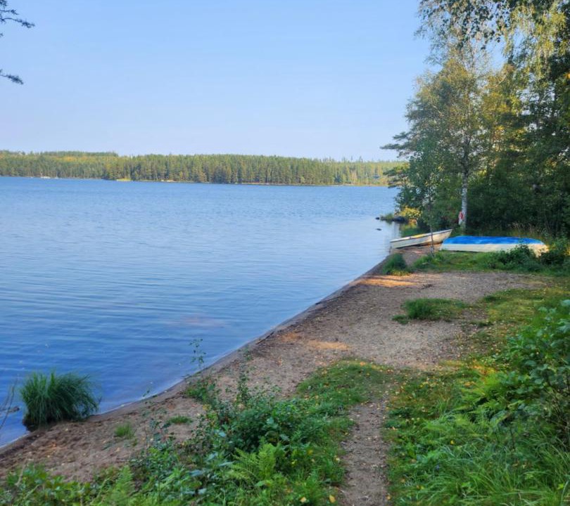 Photo of Others in Svarta