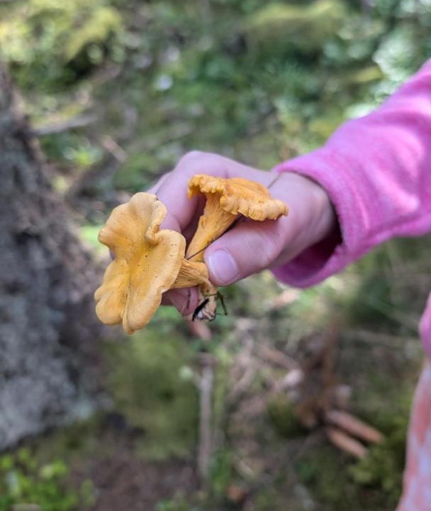 Photo of Others in Dalskog