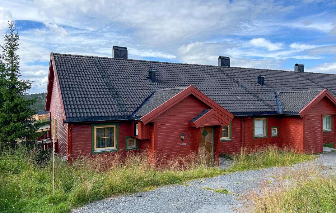 Photo of Others in Lillehammer