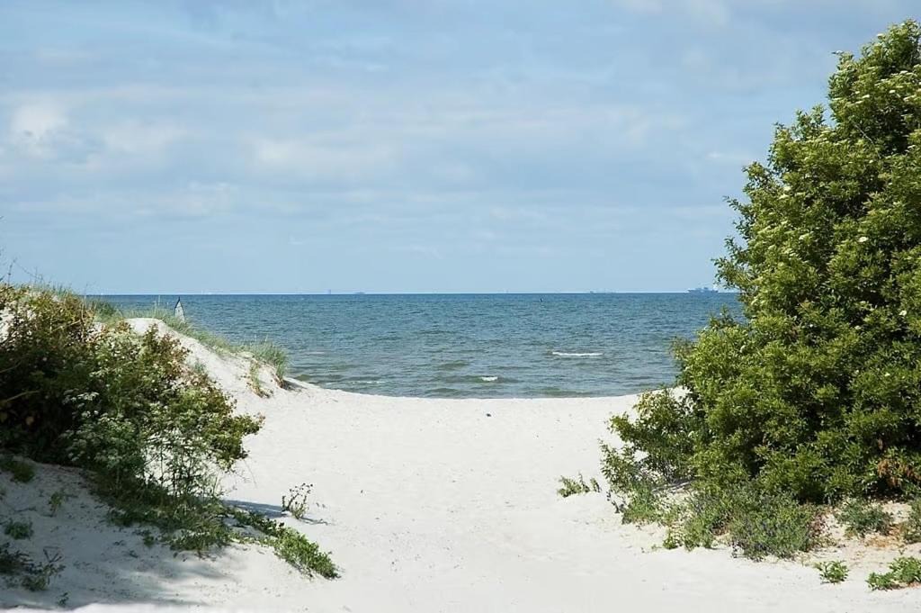 Photo of Others in Strandhusen