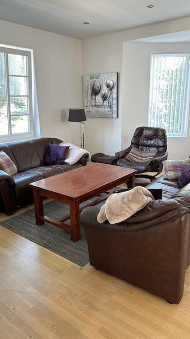 Photo of Livingroom in Haugesund