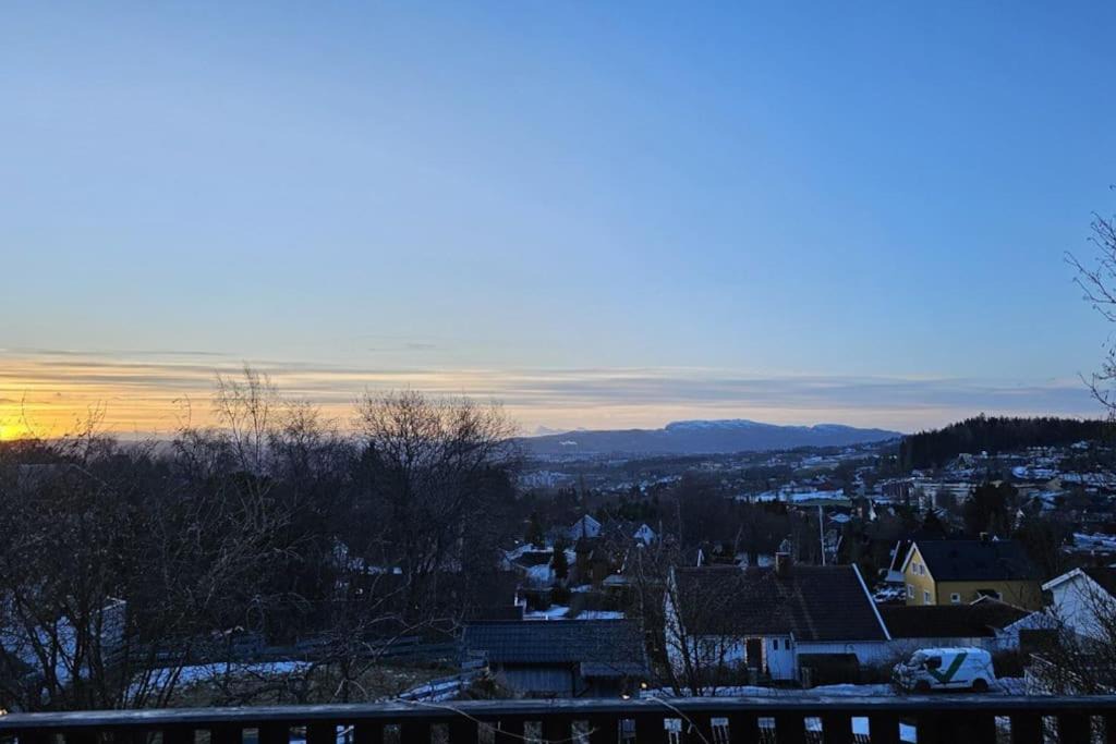 Photo of Others in Trondheim