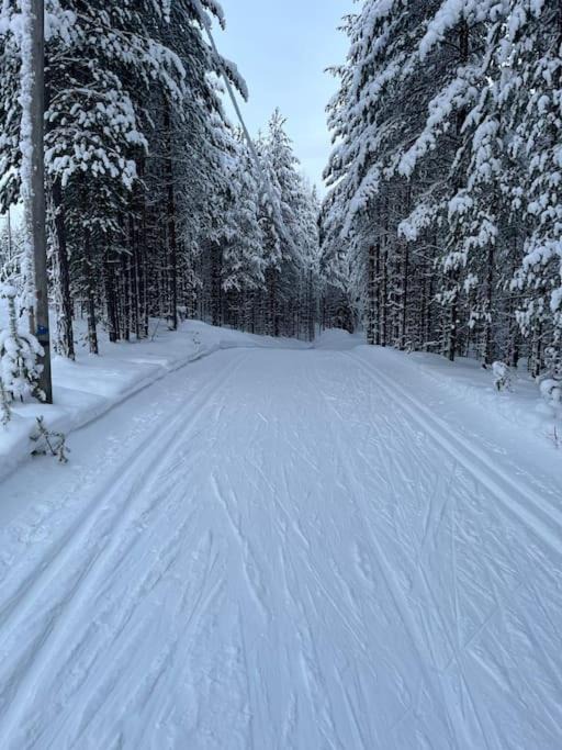 Photo of Others in Koli National Park