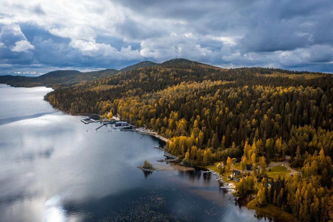 Photo of Others in Koli National Park