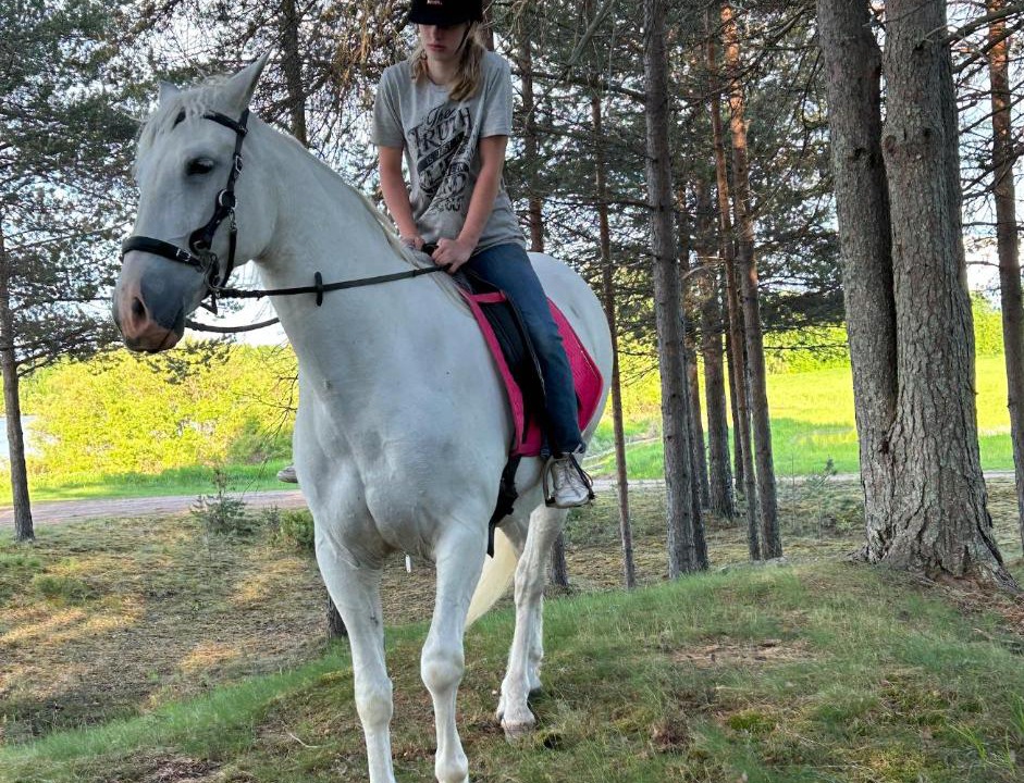Photo of Others in Hedenaset