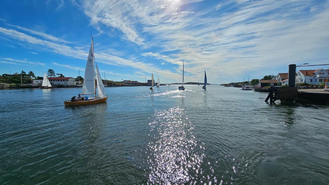 Photo of Others in Kalvsund