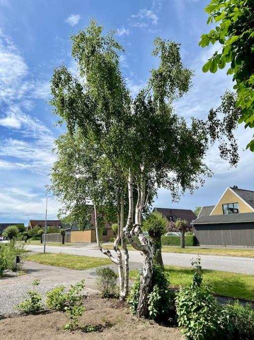 Photo of Others in Bunkeflostrand