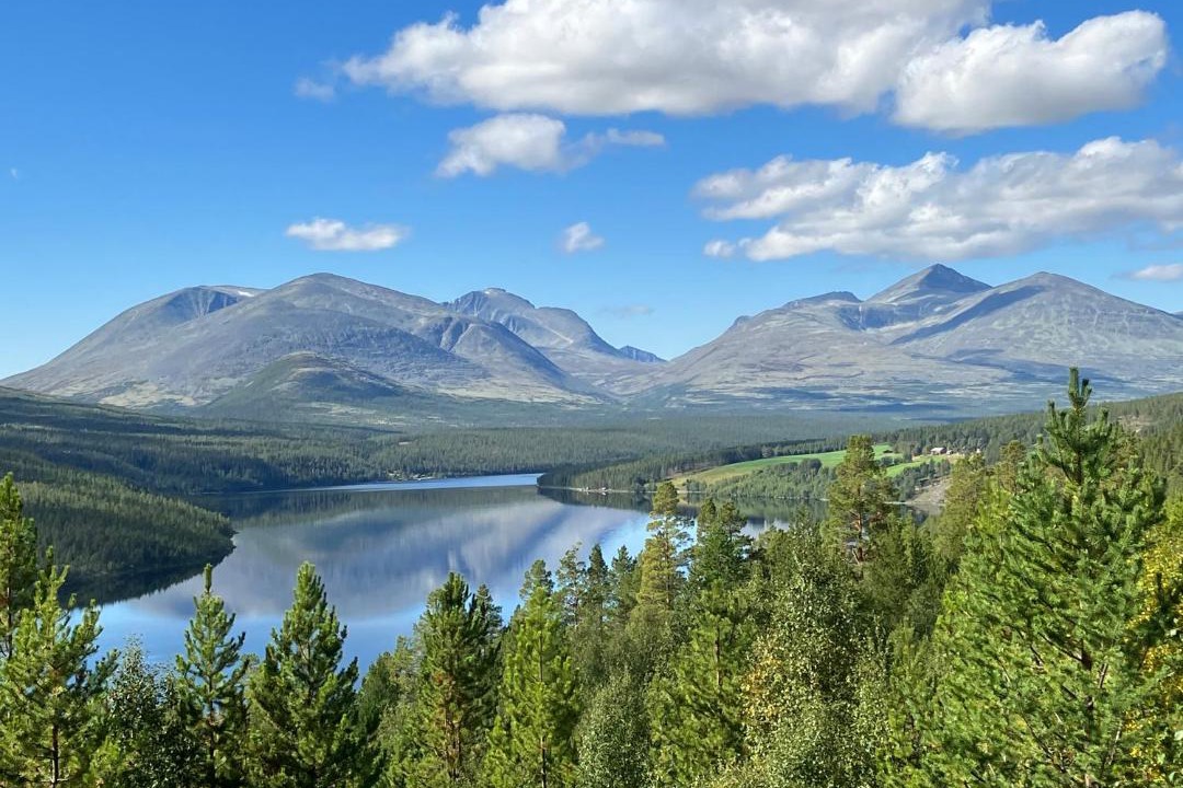Photo of Others in Stor-Elvdal