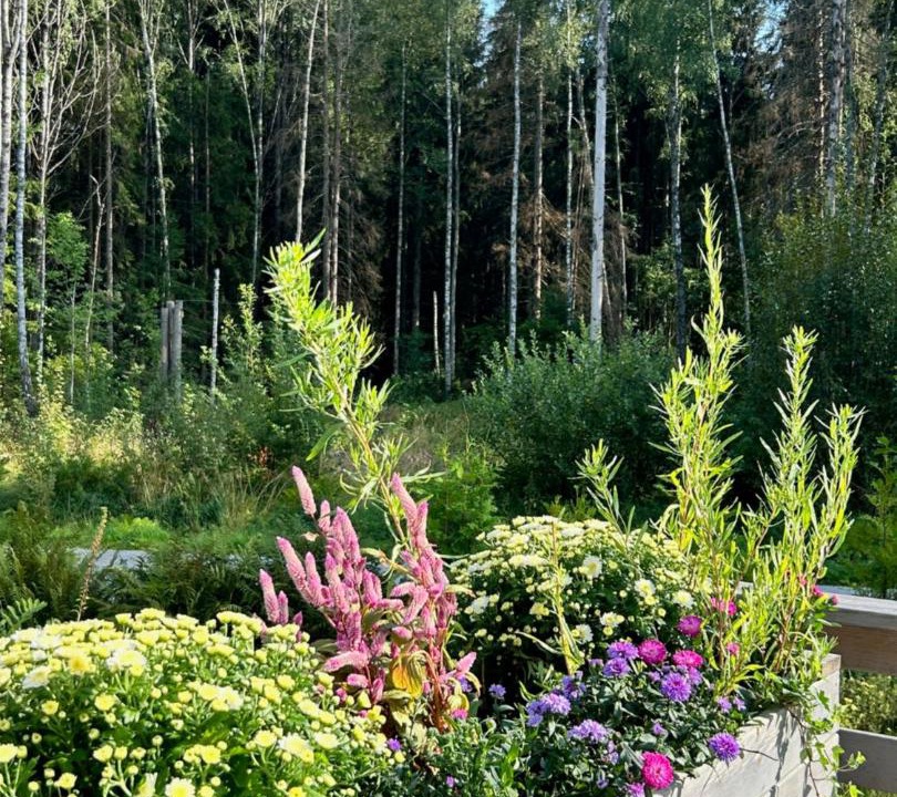 Photo of Others in Orebro