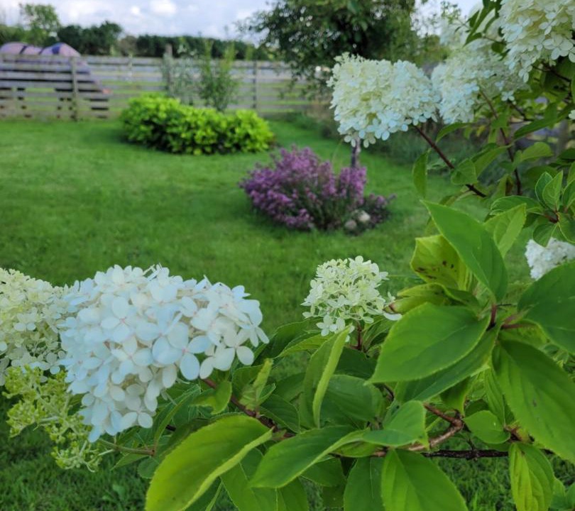 Photo of Outdoor in Jonstorp