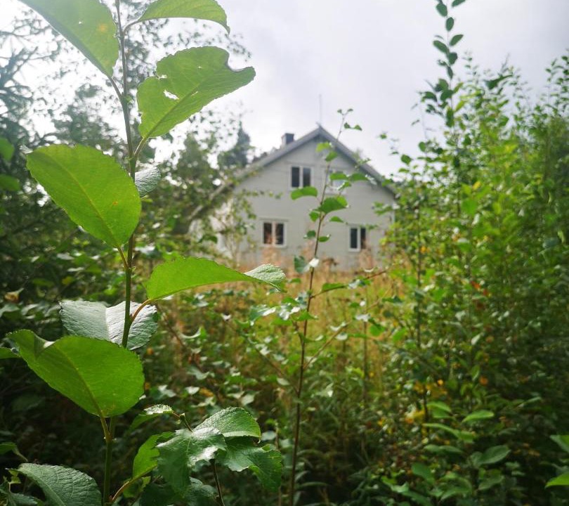 Photo of Others in Stor-Elvdal