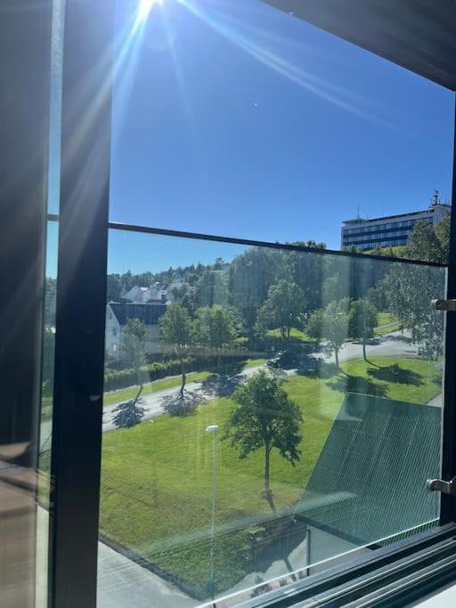 Photo of Others in Tromso