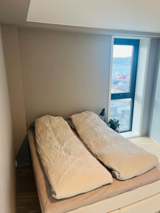 Photo of Others in Tromso