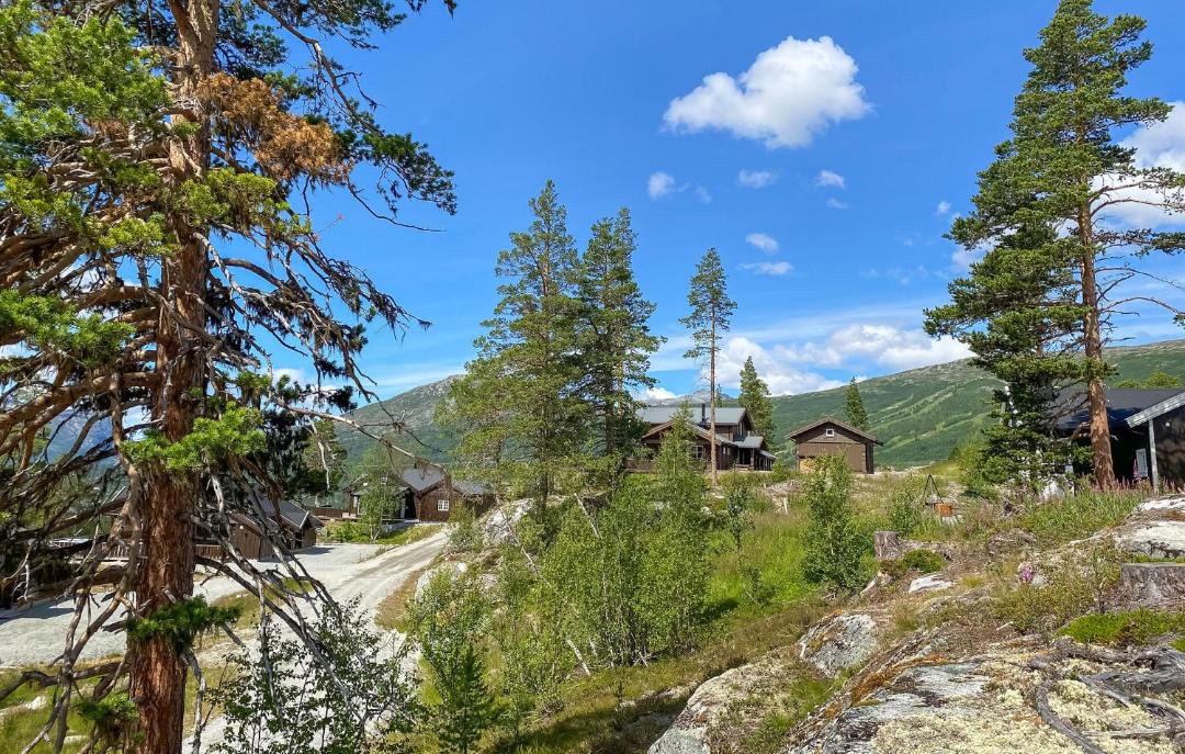 Photo of Others in Bjorli