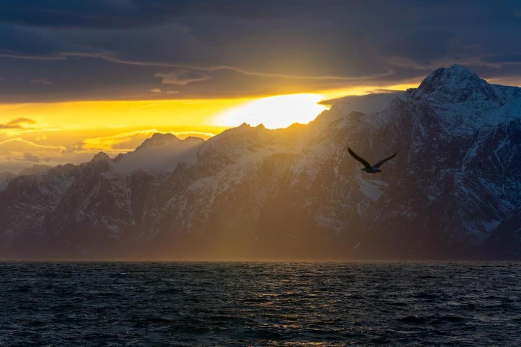Photo of Others in Tromso