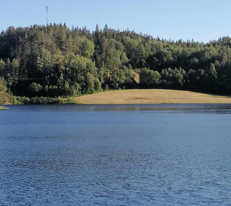 Photo of Others in Vatnestrøm