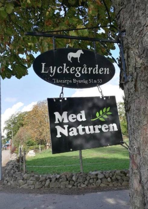 Photo of Outdoor in Munka-Ljungby