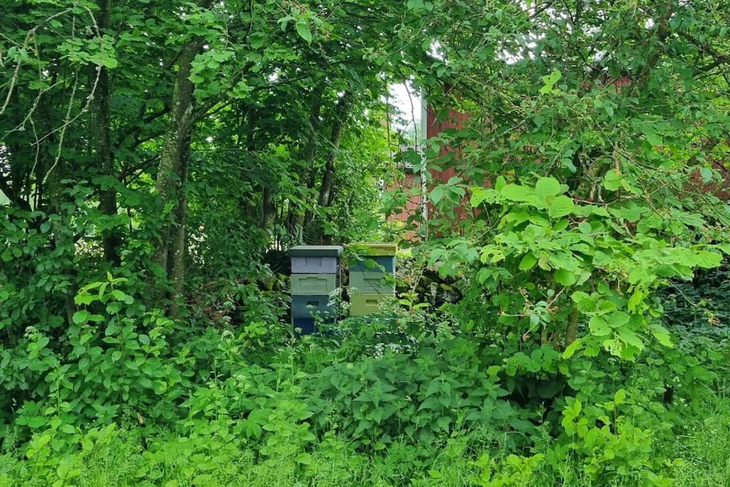 Photo of Others in Ljungbyhed