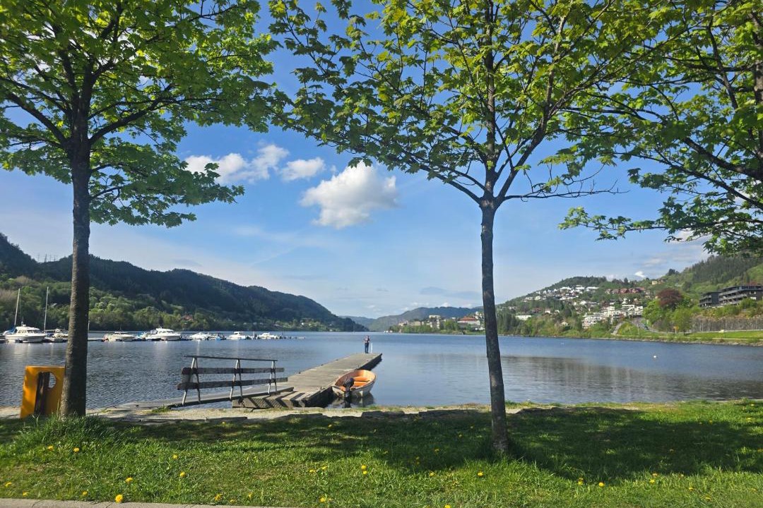 Photo of Others in Haukeland
