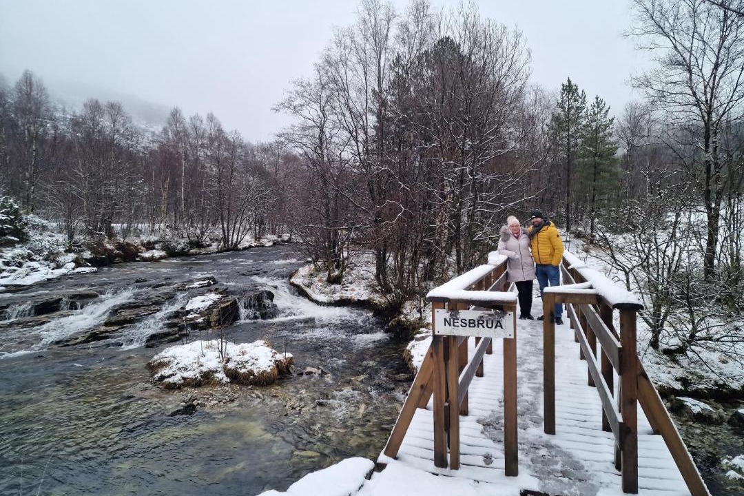 Photo of Others in Haukeland