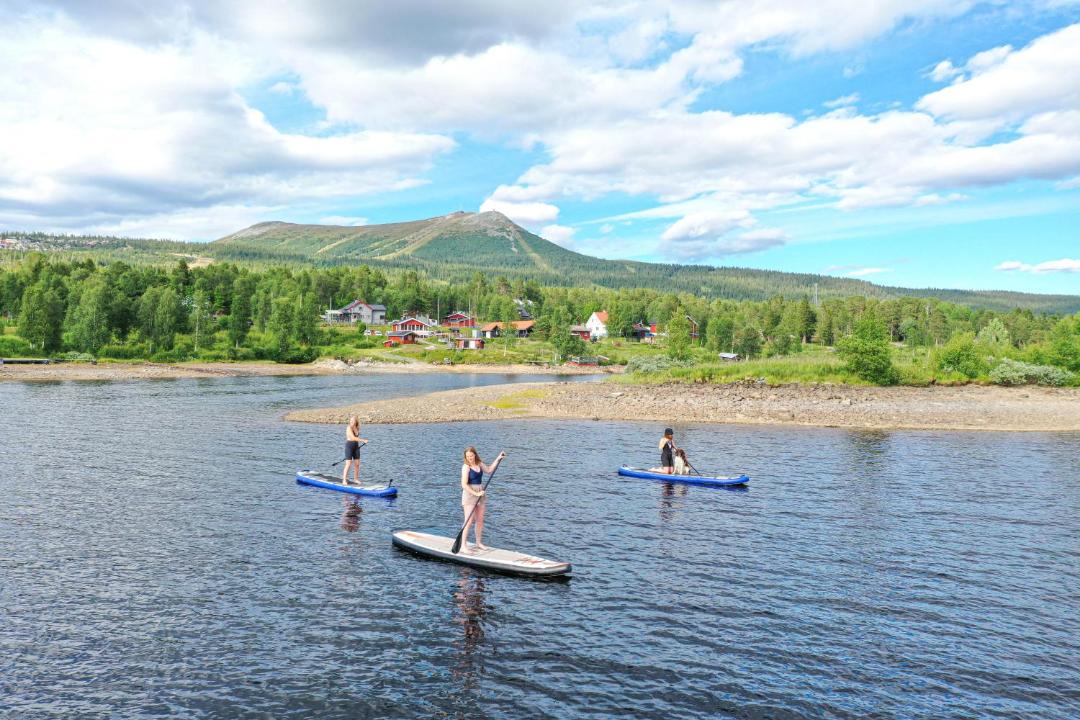 Photo of Others in Lofsdalen