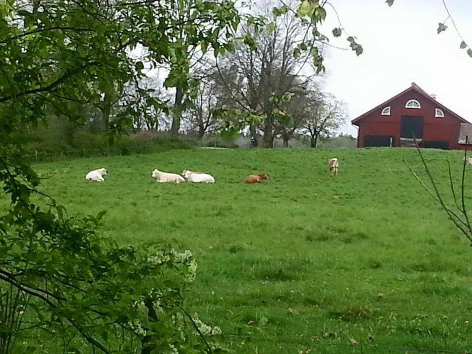 Photo of Others in Katrineholm