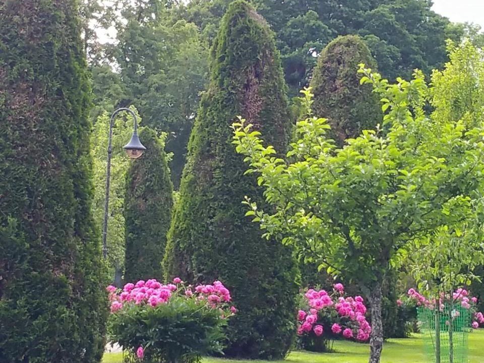 Photo of Others in Katrineholm