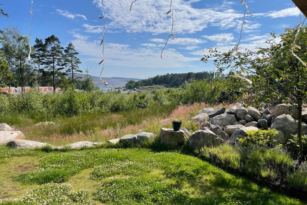 Photo of Others in Lokholmen