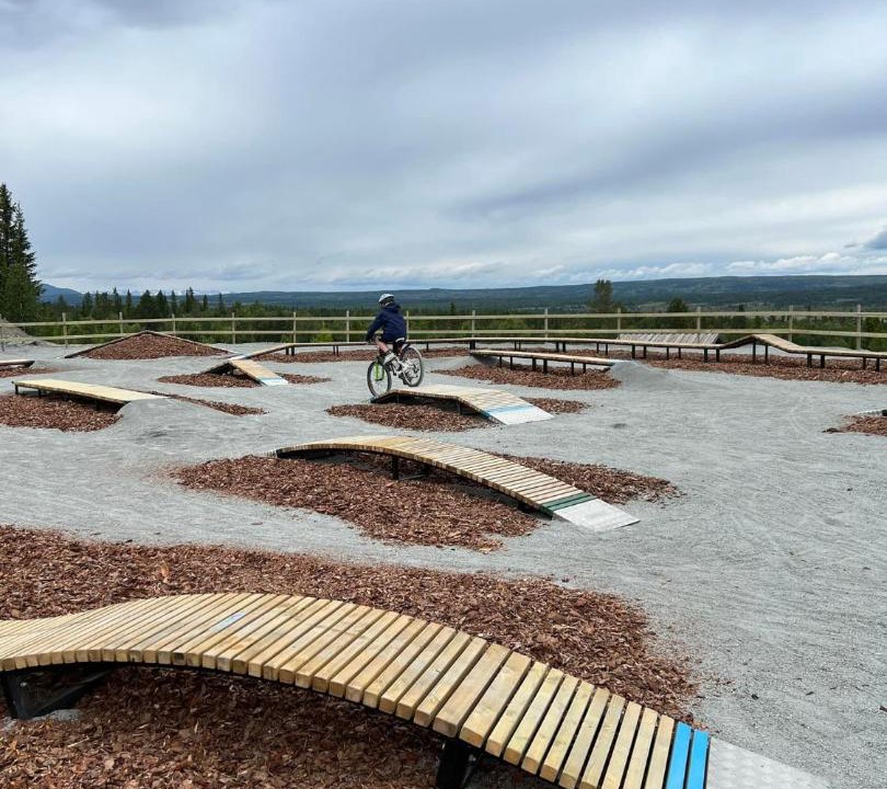 Photo of Others in Golsfjellet