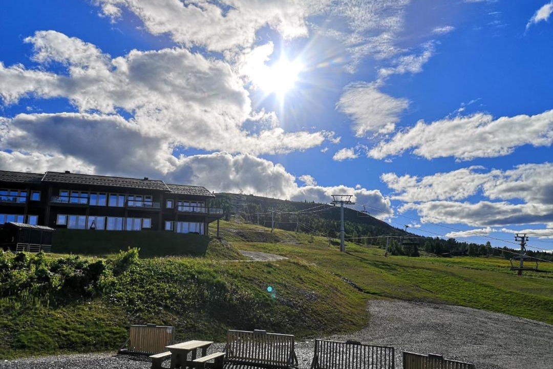 Photo of Others in Golsfjellet