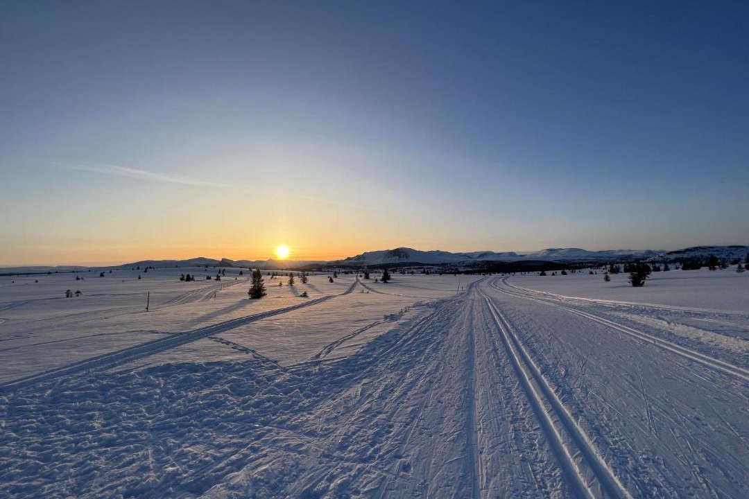 Photo of Others in Golsfjellet
