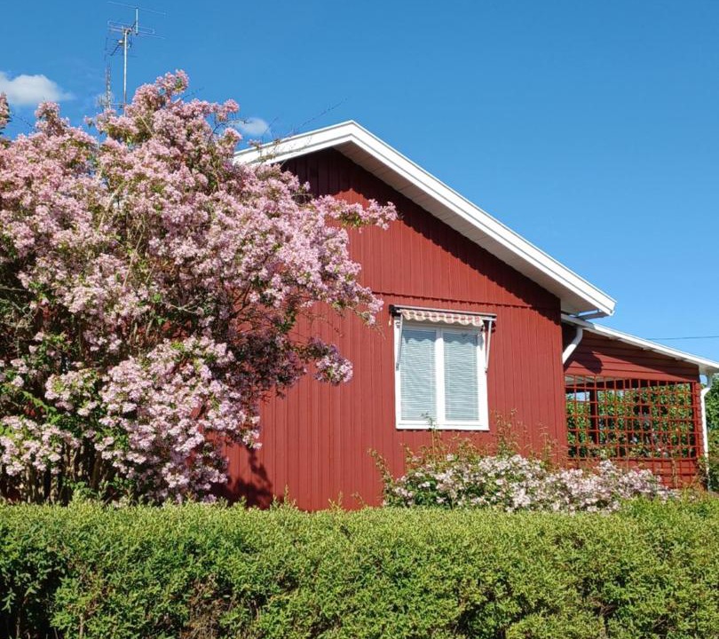 Photo of Others in Hultsfred