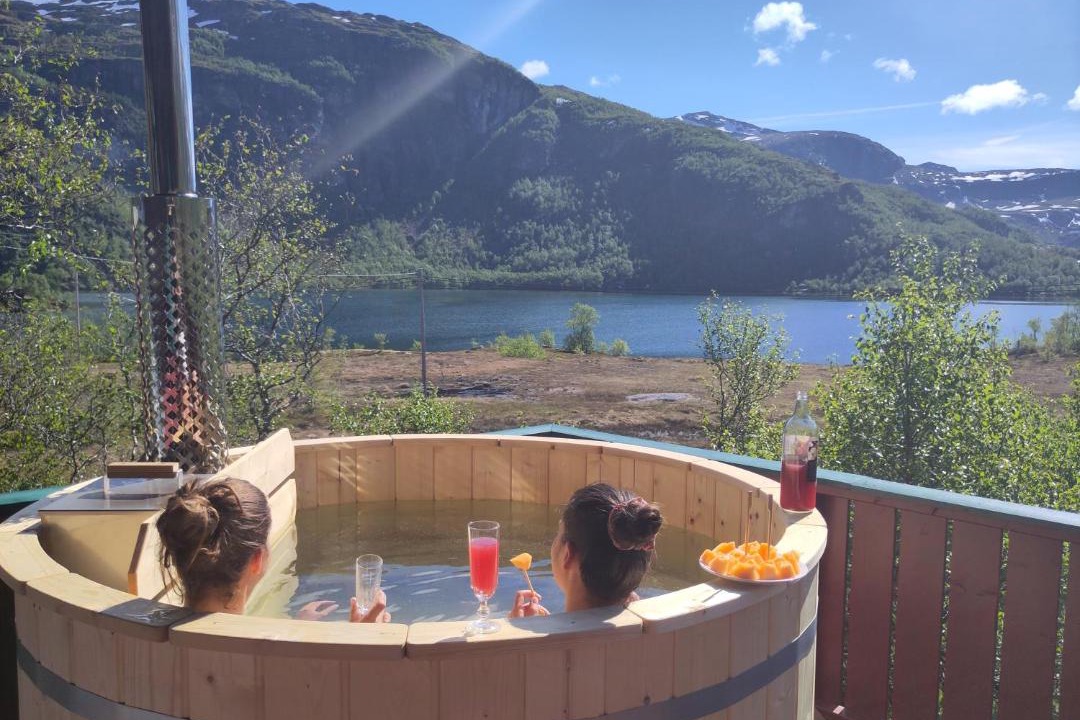 Photo of Others in Myrdal