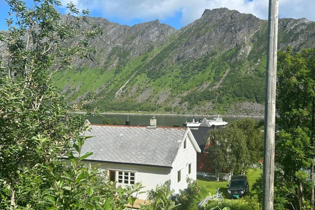 Photo of Others in Torsken