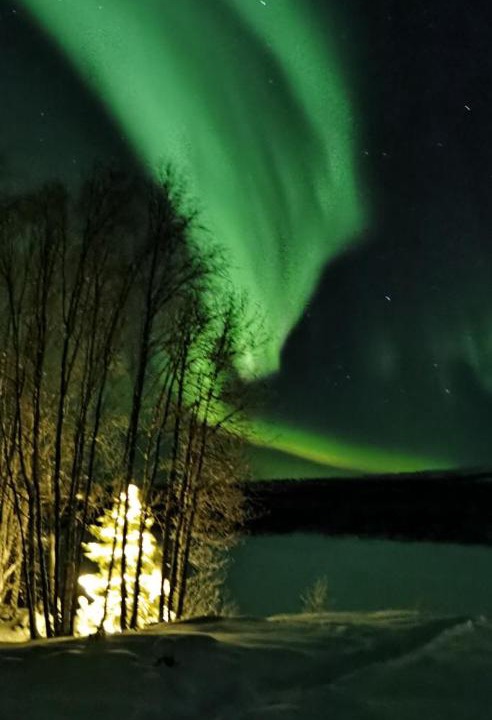 Photo of Others in Inari