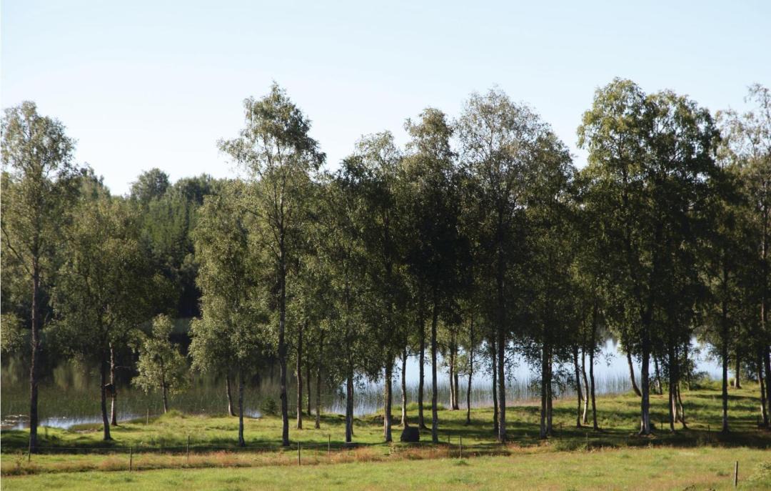 Photo of Others in Vaggeryd Municipality