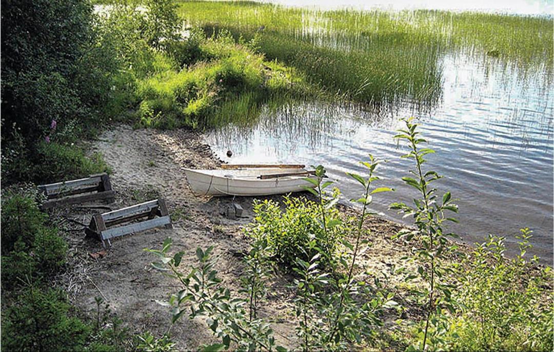 Photo of Others in Ovsjobyn