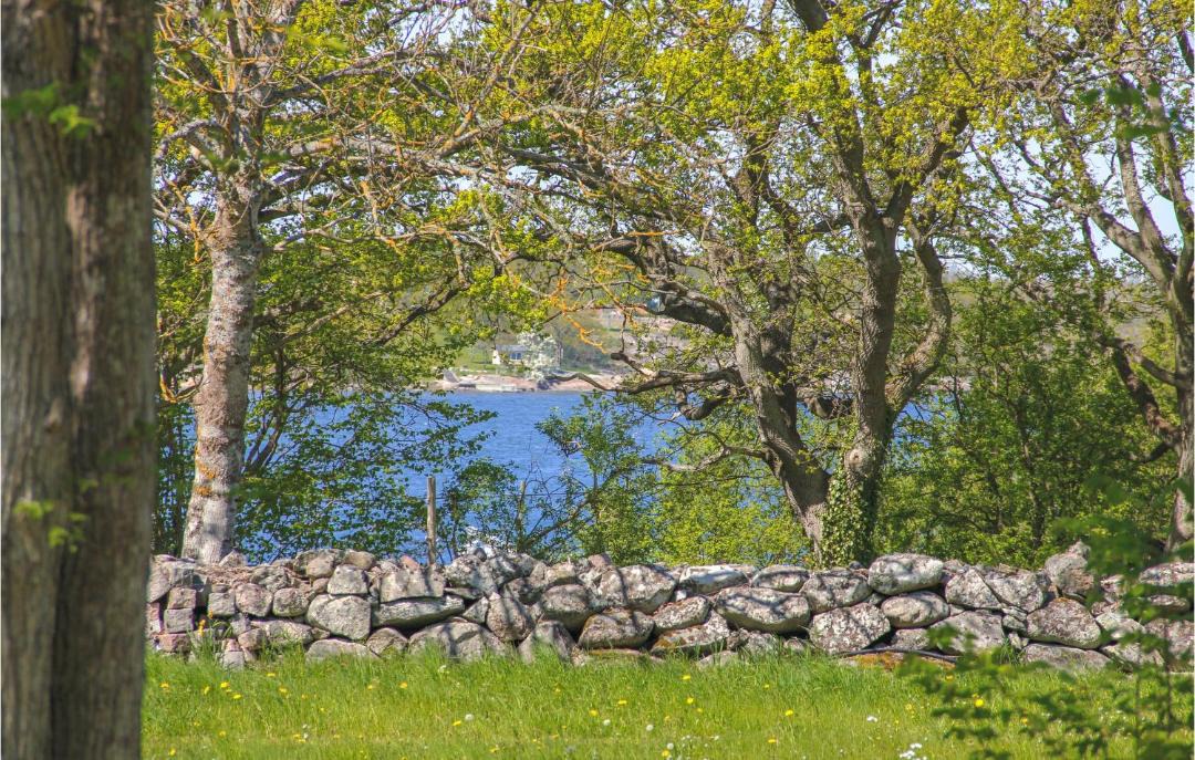 Photo of Others in Bredavik